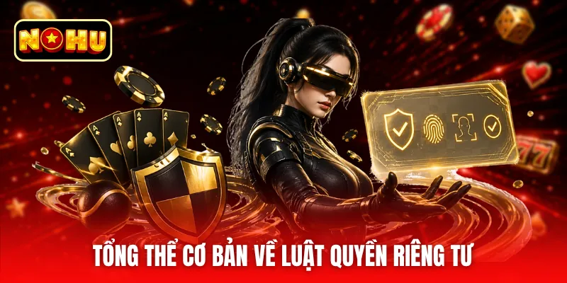 Tổng thể cơ bản về luật quyền riêng tư
